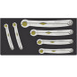 TCS 240/6 Assortimento chiavi a cricchetto FastRatch in TCS