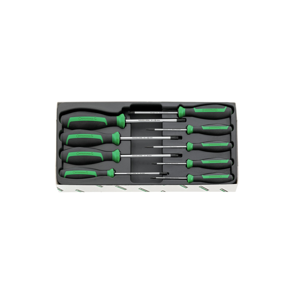 4699/9 Assortimento giraviti TORX DRALL+