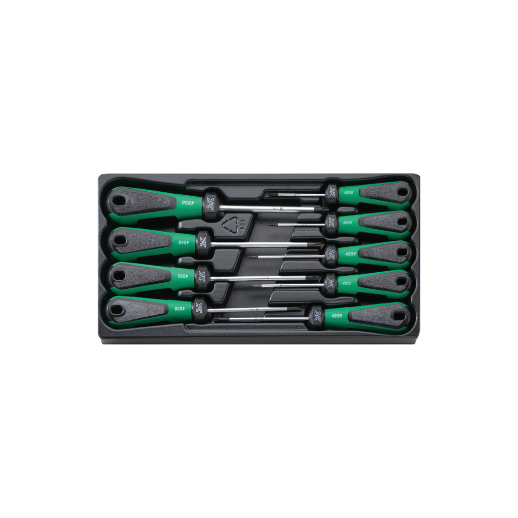 4899 Assortimento giraviti TORX 3K DRALL