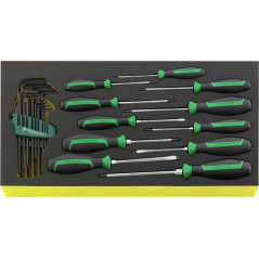 TCS WT 4622-4650-1 Assortimento di giraviti DRALL+ TCS WT