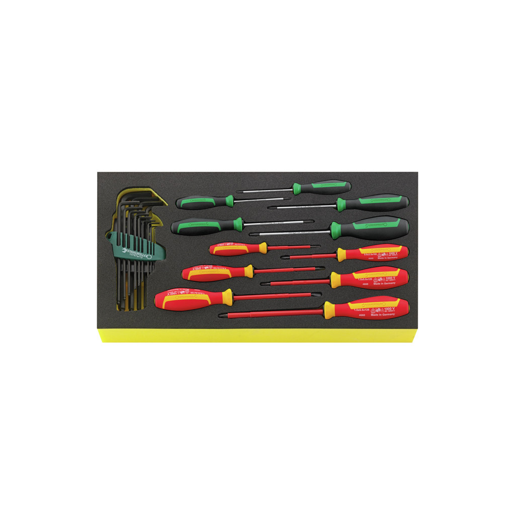 TCS WT 4650-4665 Assortimento di giraviti DRALL+ TCS WT