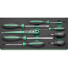 TCS 12 821/8 Set di giraviti